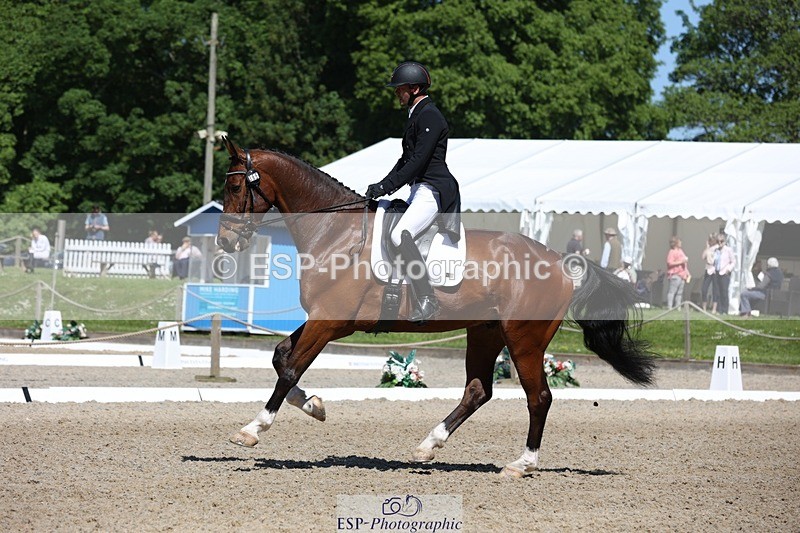 230526-105643-05350 - 365-BWE_NEWTON_DE_JASPER-Adam_Harvey-WEDTrotUp+DR