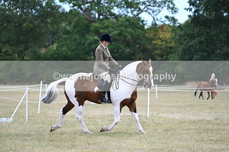 WJ7_5160 - Class 12 Ridden Cob