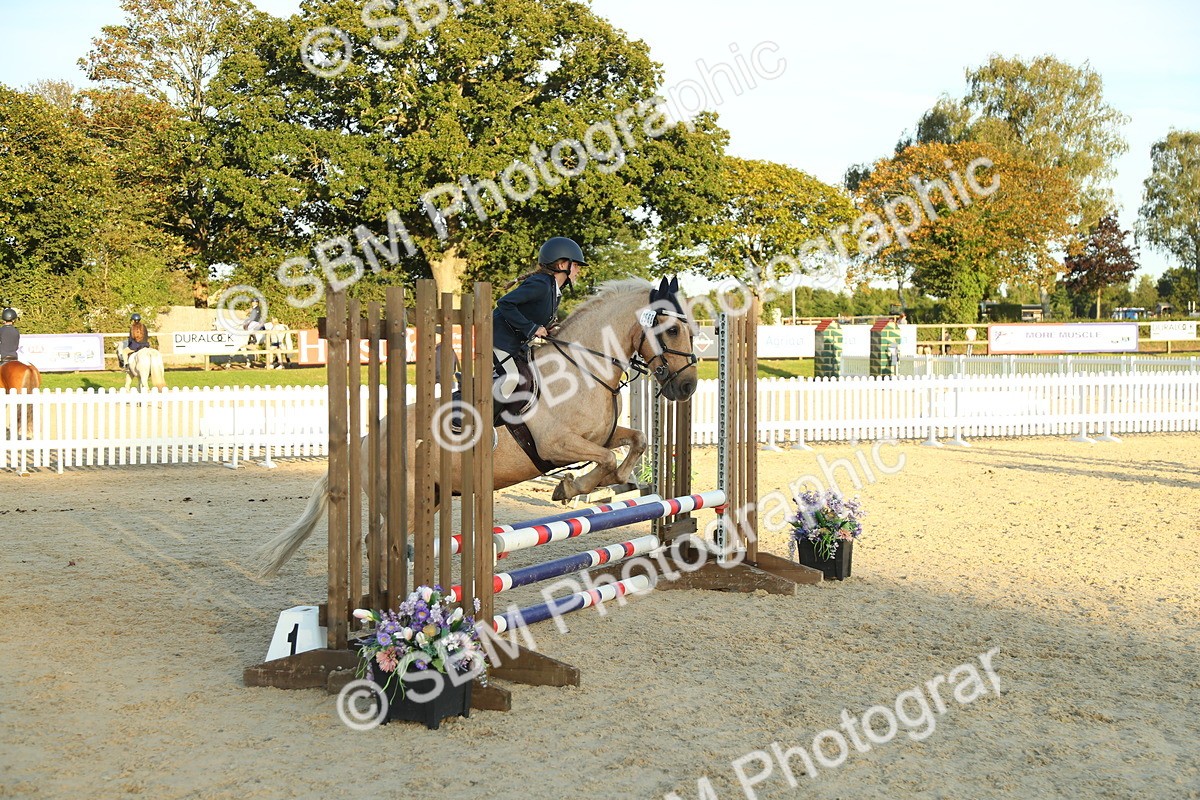 SBM_53902 - J8 - Junior Pony 65cm Championship
