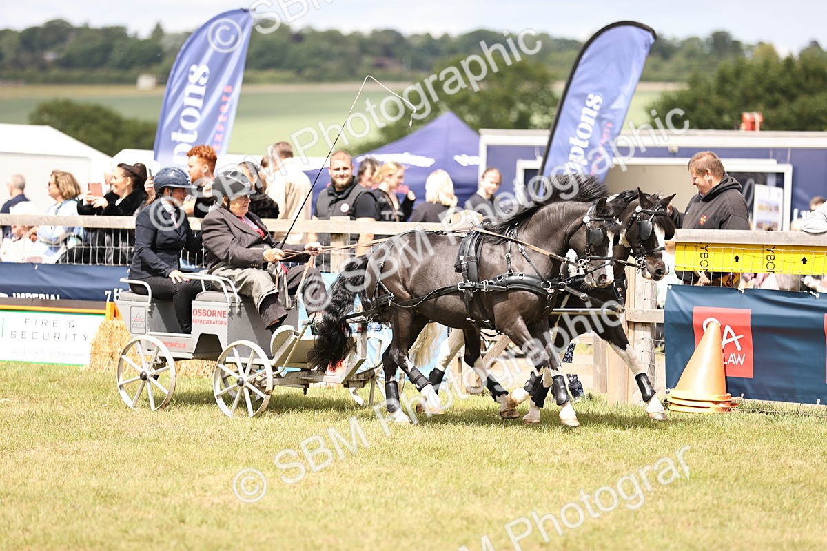 SBM_16137 - Class 91 - Scurry  exceeding 122cms
