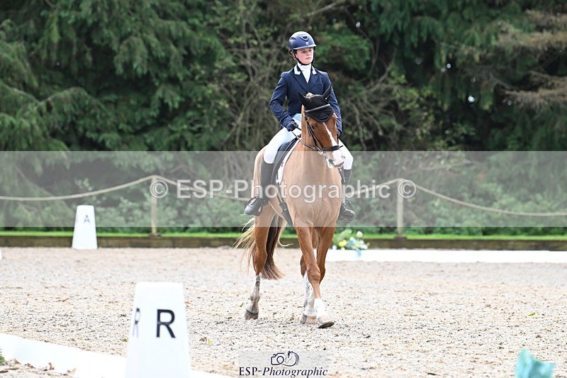 231019-130108-02903 - 049-AUGUSTUS.IMPERIOUS-Ines.Mitchell-DR