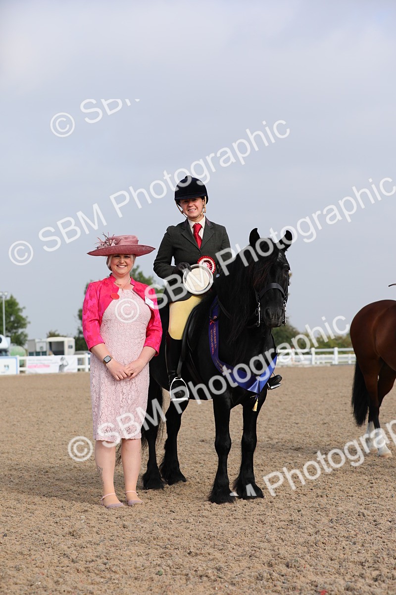 SBM_10155 - Class 302 Ridden M&M -Large Breeds