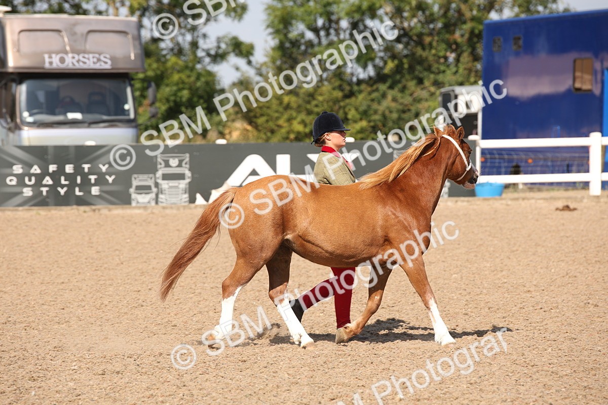 SBM_02832 - Class 16 IH M&M Wildcard