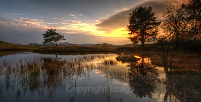 Kelly Hall Tarn - Portfolio