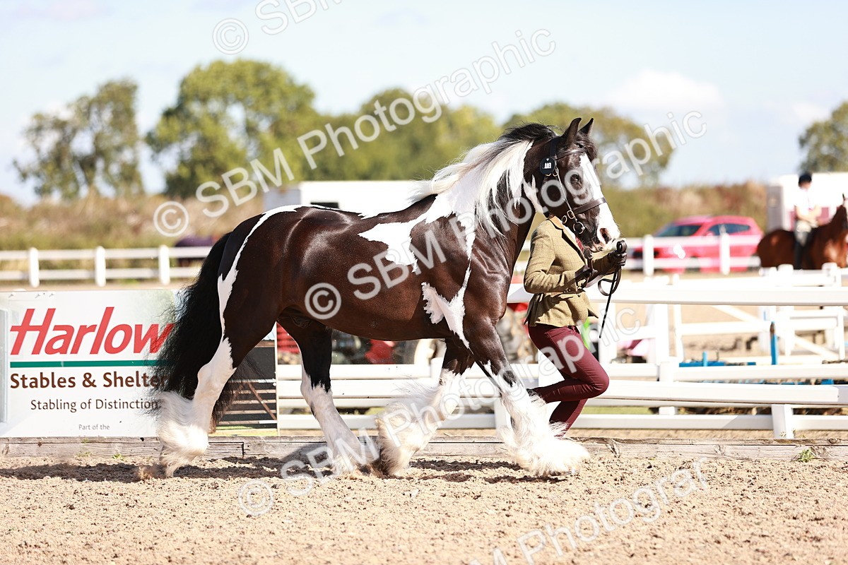 SBM_12579 - Class 404 - IH Traditional - Native Cob