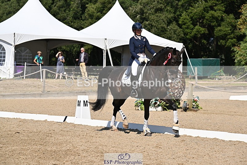 250810A-152908-08054 - Intermediate I GOLD Presentations