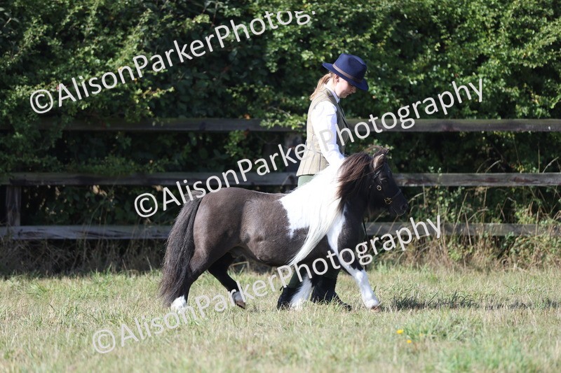 20250831-1375 - Class 21 - Inhand Open