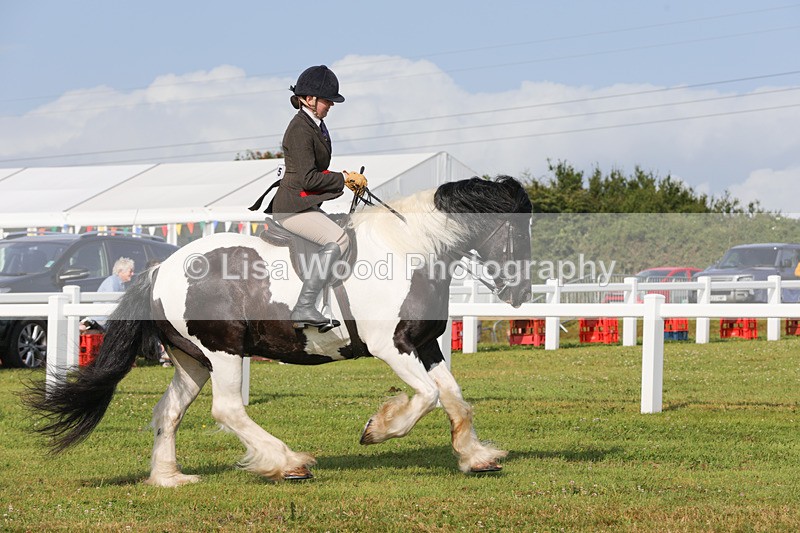 1X9A3170 - Class 27:  Ridden Native/Trad Coloured Horse