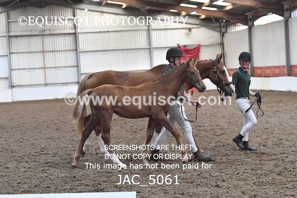 JAC_5061 - 9 Zinzipan
