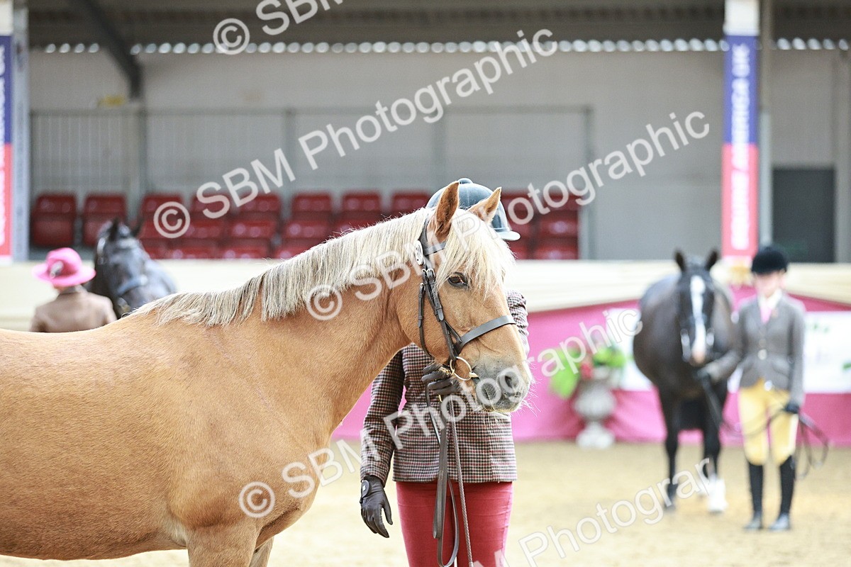 SBM_04773 - Class 7R - Regional IH Diamond