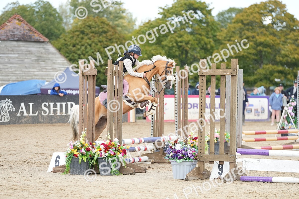 SBM_20724 - J49 - Open 50cm