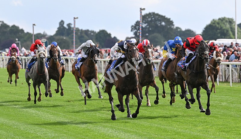 190826-181 Small Fry - Race 5 16.10pm Sky Bet Stayers Handicap