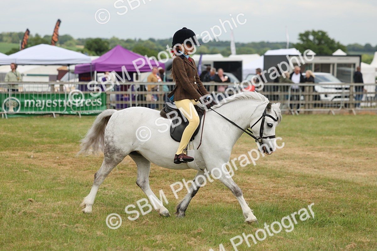 SBM_06870 - Class 74-75 - M&M Lead Rein and First Ridden Pony
