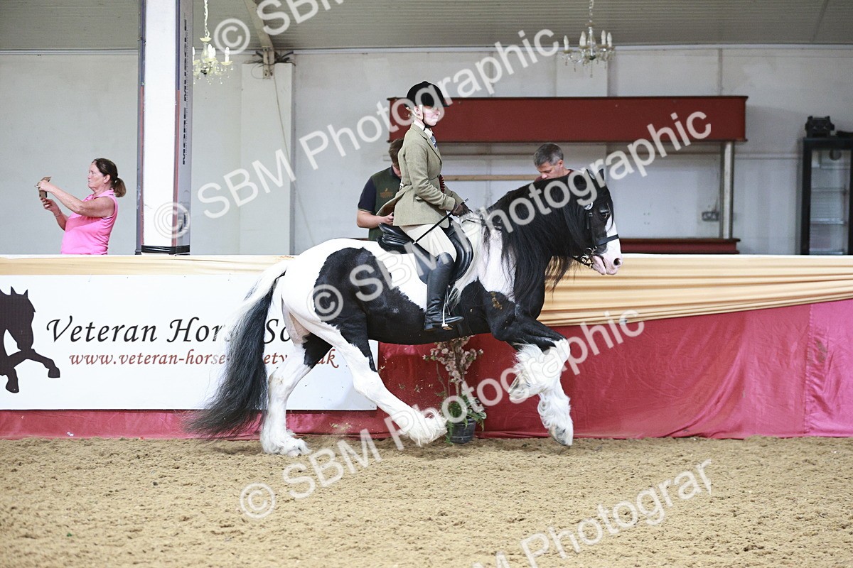 SBM_08653 - Regional Ridden Champ