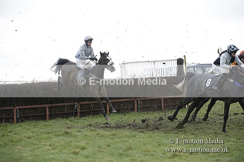 PtP 150320 0493 - New Forest Point-to-Point Larkhill 15/03/20