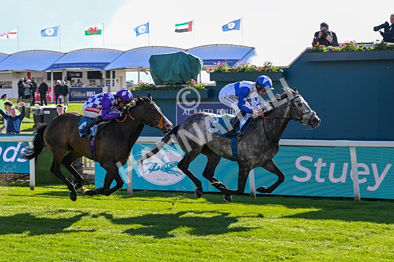 130526-Race 7-Master Builder-3838 - Race 7 5.15pm Stuey Weston & Friends Getting Out Handicap