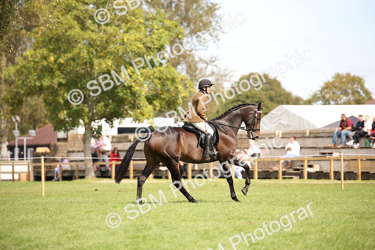 SBM_65969 - S64 - Riding Horse & Hack & Thoroughbred Ridden