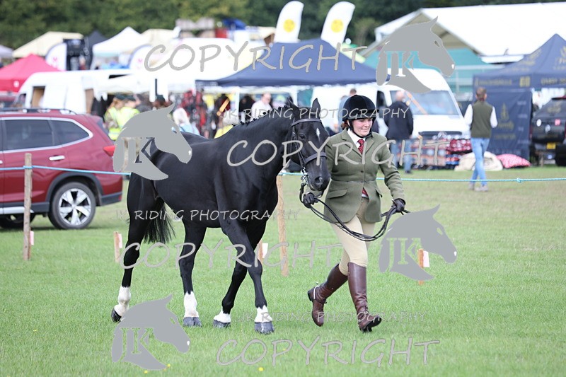 APP_2618 - Class 9 Veterans in hand