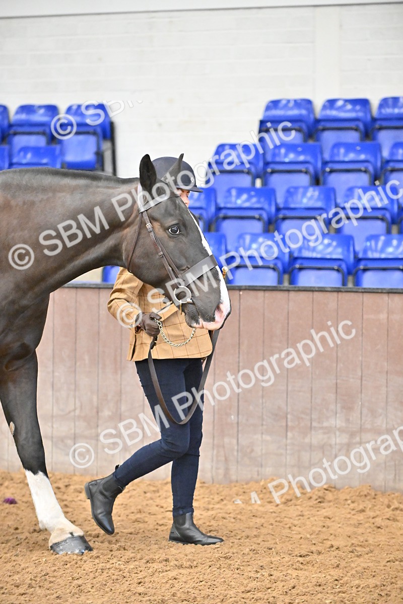 SBM_000064 - Class 4 - BSHA In Hand Show Cob