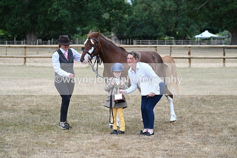 WJ7_9354 - Prettiest Mare Champs