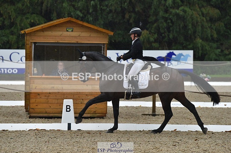 231018-154456-00867 - 012-ROMANY.CRICKET-Nana.Dalton-DR