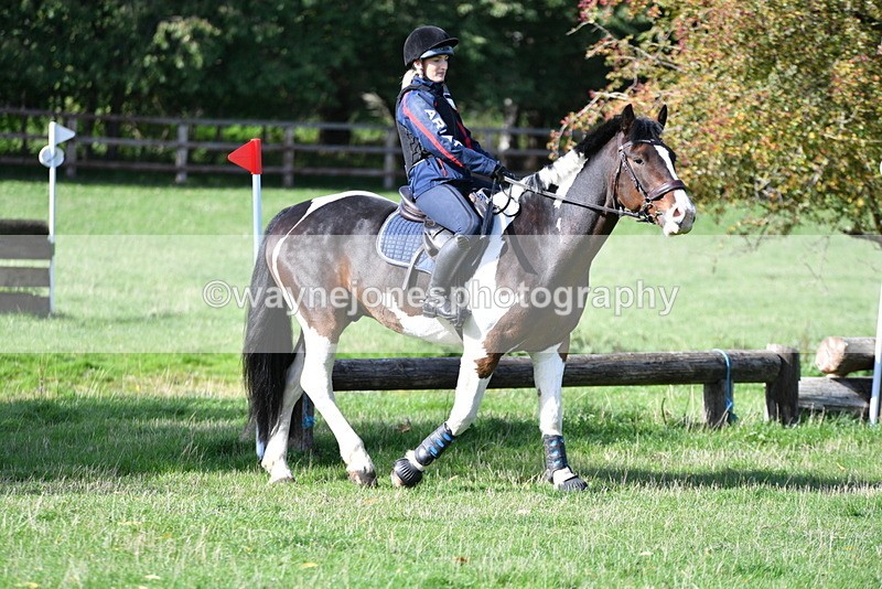 WJ5_8108 - Time 10:31 to 12:01