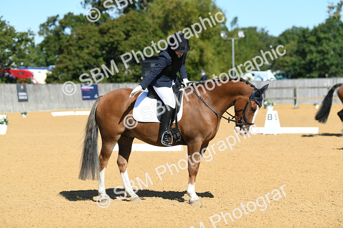 SBM_18152 - D4 - Small Tour Championship - Intro B