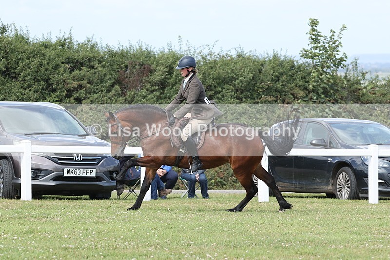 JPP_2414 - Class 19: Working Hunter 60cm