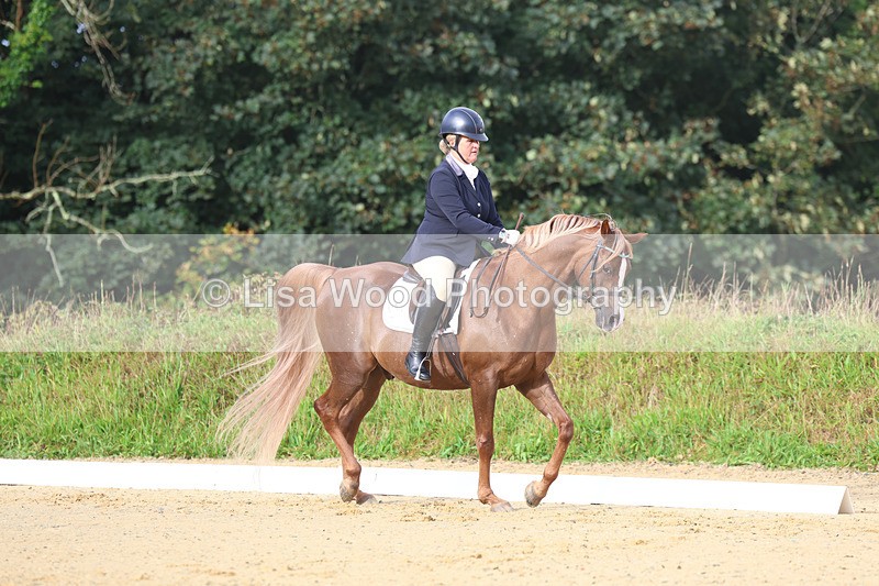 3E7A1903 - Class 1: Intro 4 2024 section A