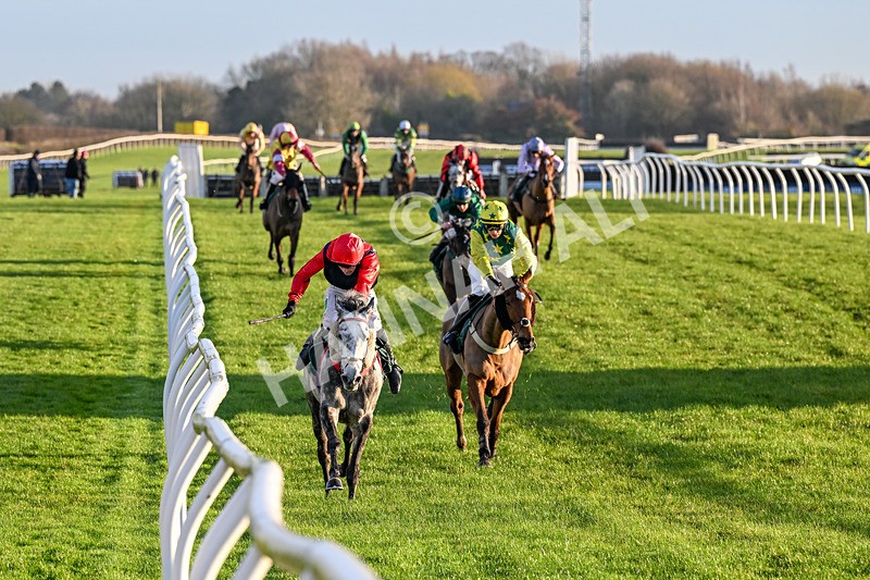 161225-Race 5-Somebodycomegether-8842 - Race 5