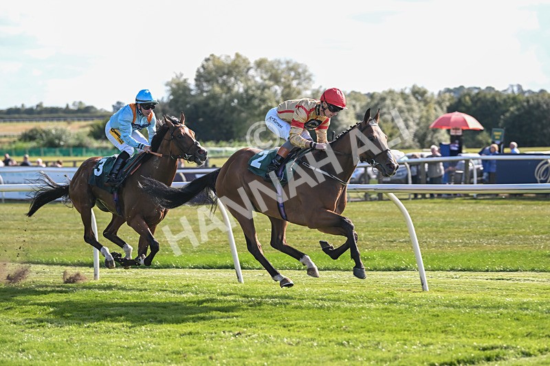 090925-Race 4-U Sure Do-8816 - Race 4