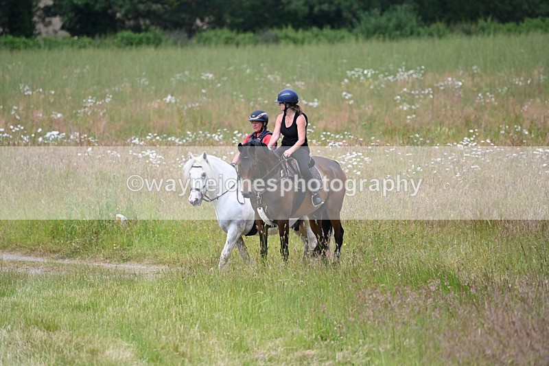 WJ6_8017 - Camera 1 Gallops