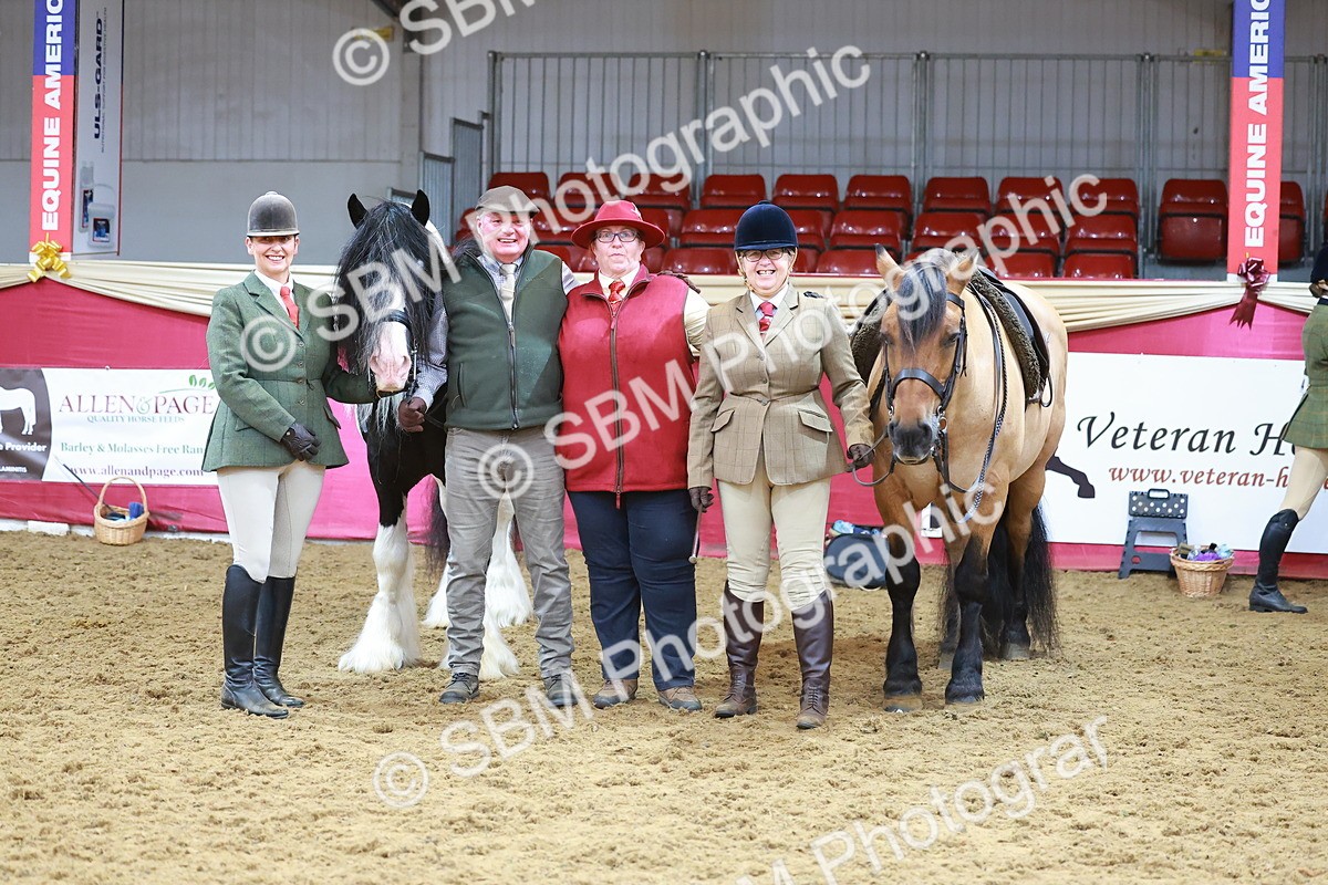 SBM_09542 - Class 102 - HOYS Veteran Qualifier - Ridden Veteran