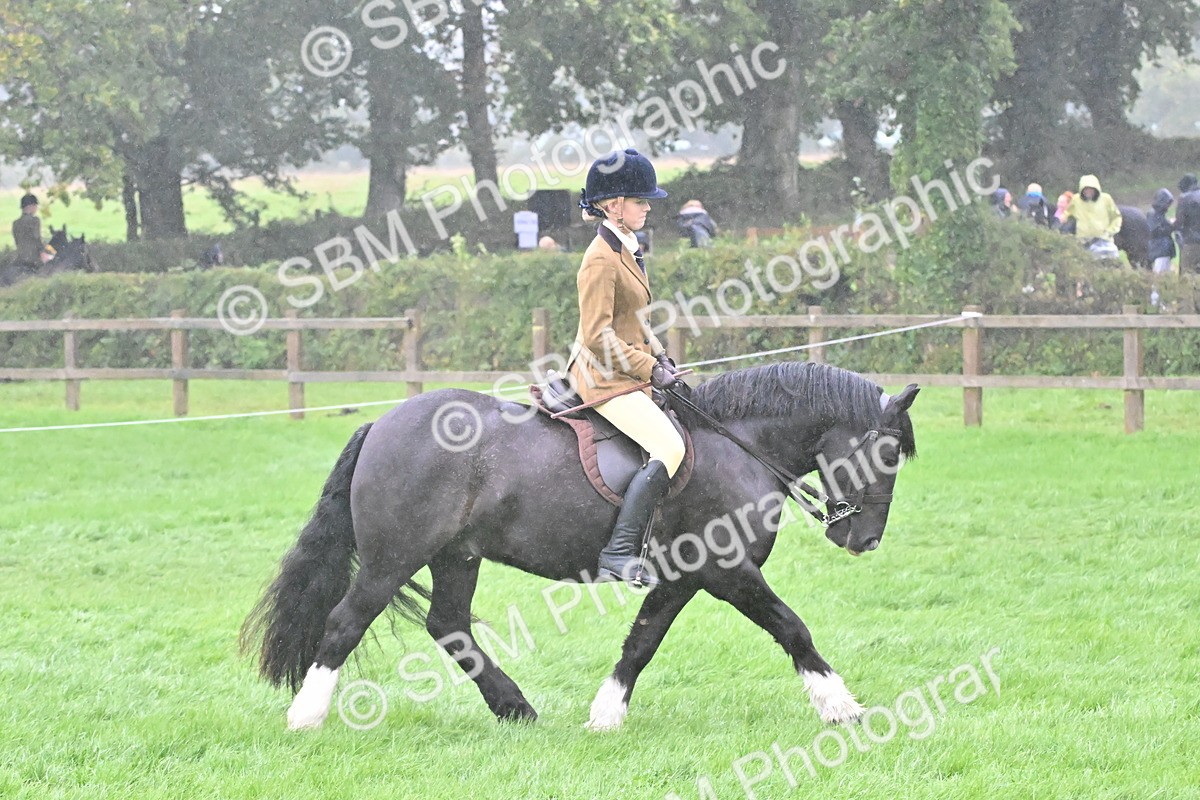 SBM_72411 - S43 - Ridden Equitation Best Rider