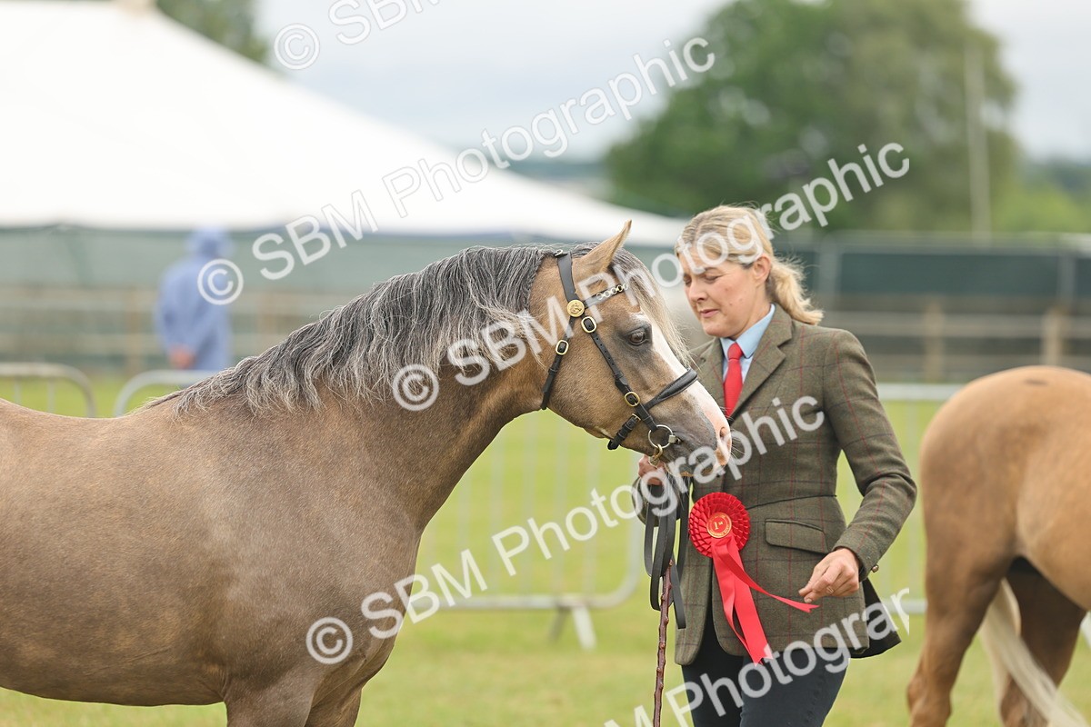 SBM_02189 - Class 50-57 - M&M Welsh Pony In Hand
