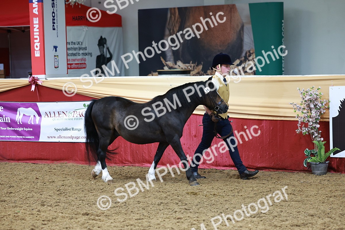 SBM_17306 - Class 951 - M&M IH Supreme Final