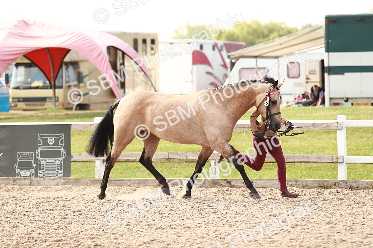 SBM_10523 - Class 204 Young Handler, 11-16 years