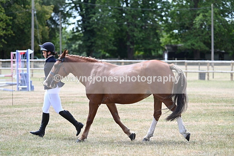 WJ7_1968 - Class 4a Prettiest Mare 14.2hh and over hand