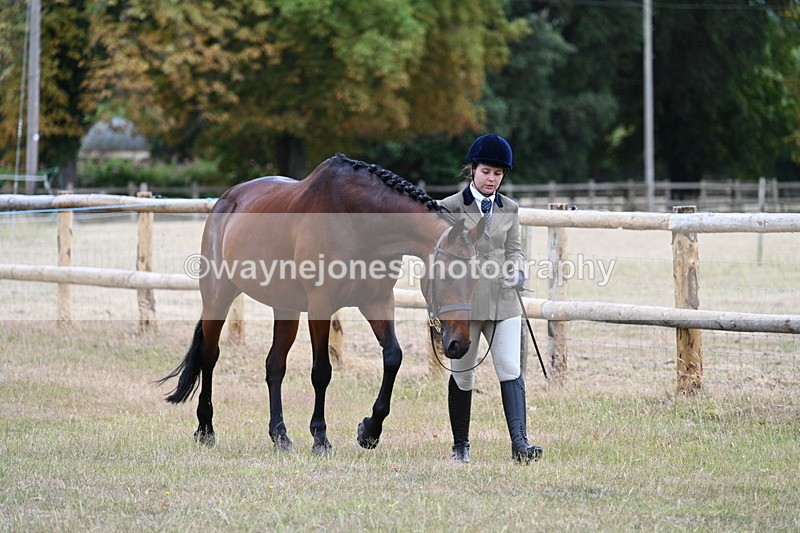WJ7_8951 - Class 4a Prettiest Mare 14.2hh and over