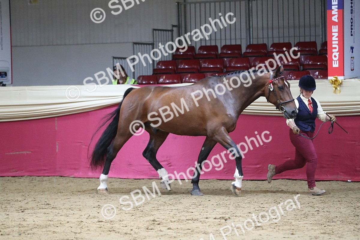 SBM_06297 - Class 9R Regional- IH Pre Vet