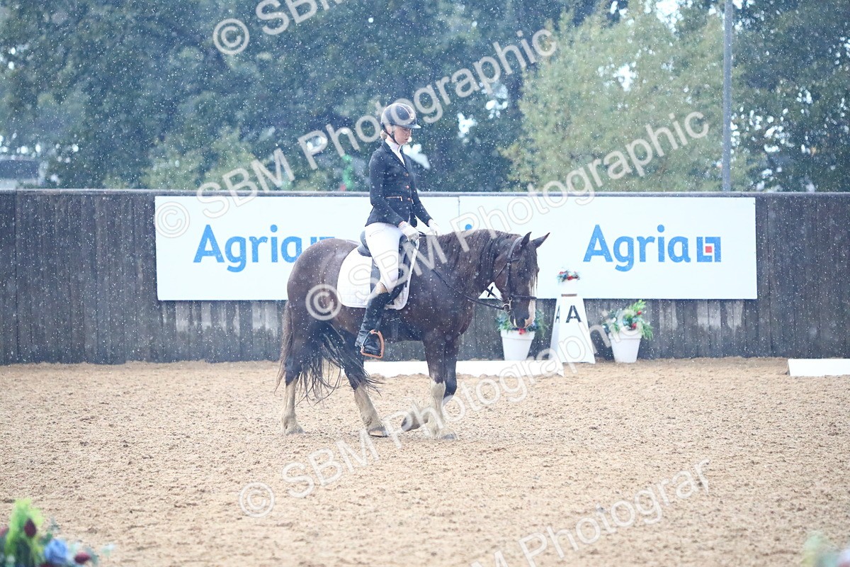 SBM_38849 - D21 - Junior Championship Intro 1
