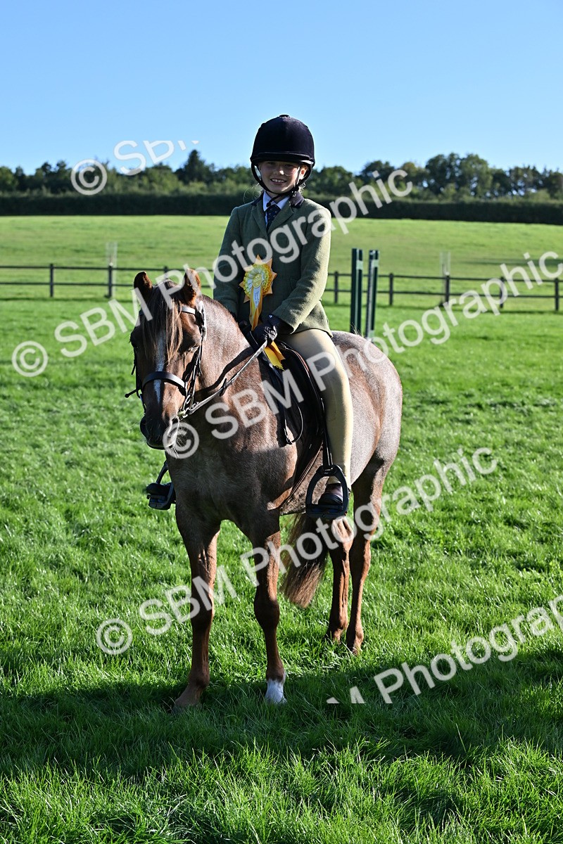 SBM_53082 - S23 - First Ridden Mountain & Moorland Pony
