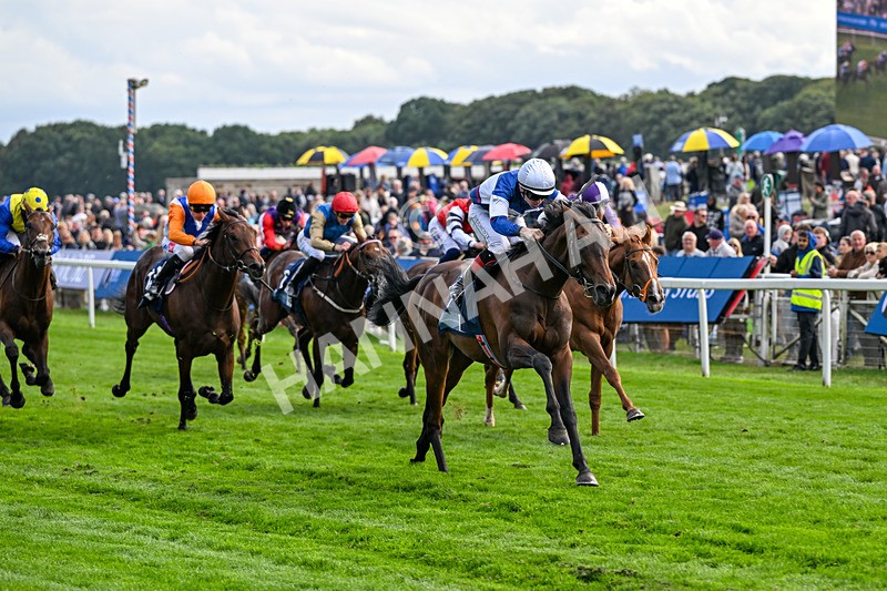 210826-Race 6-Benjamin Hornigold-7153 - Race 6 16.45pm British Stallion Studs EBF Convivial Maiden Stakes
