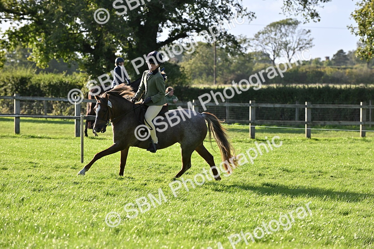 SBM_53042 - S23 - First Ridden Mountain & Moorland Pony