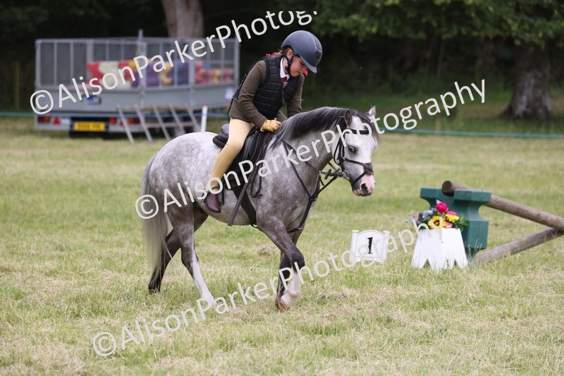 20260614-3133 - Class 22 - Open Working Hunter