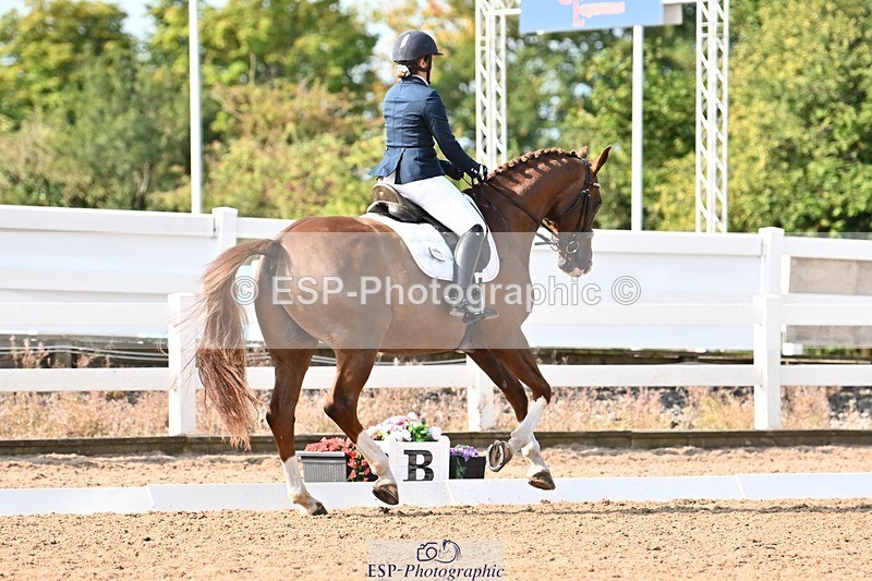 250815-100021-00256 - 026-Pippa.MorganDavinci.Vl