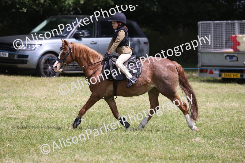 20260614-2008 - Class 21 - Novice Working Hunter Pony