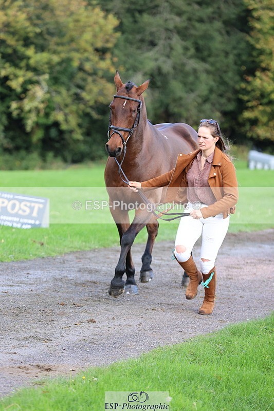 251026A-103205-23074 - E-384-Holly.Horton