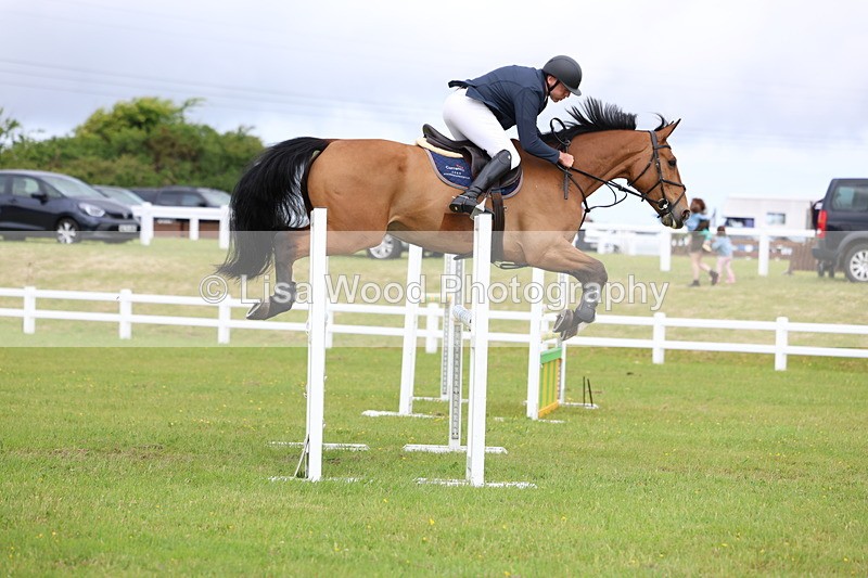 3E7A7041 - Class 12: Senior Foxhunter/1.20 open