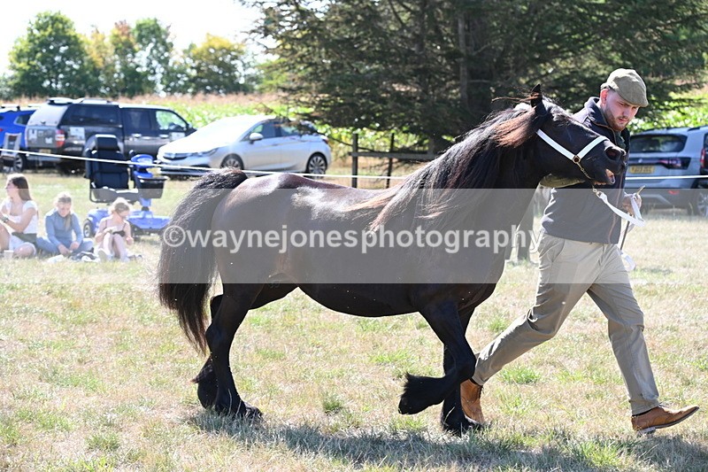 WJ6_4787 - Class 17 Mountain & Moorland